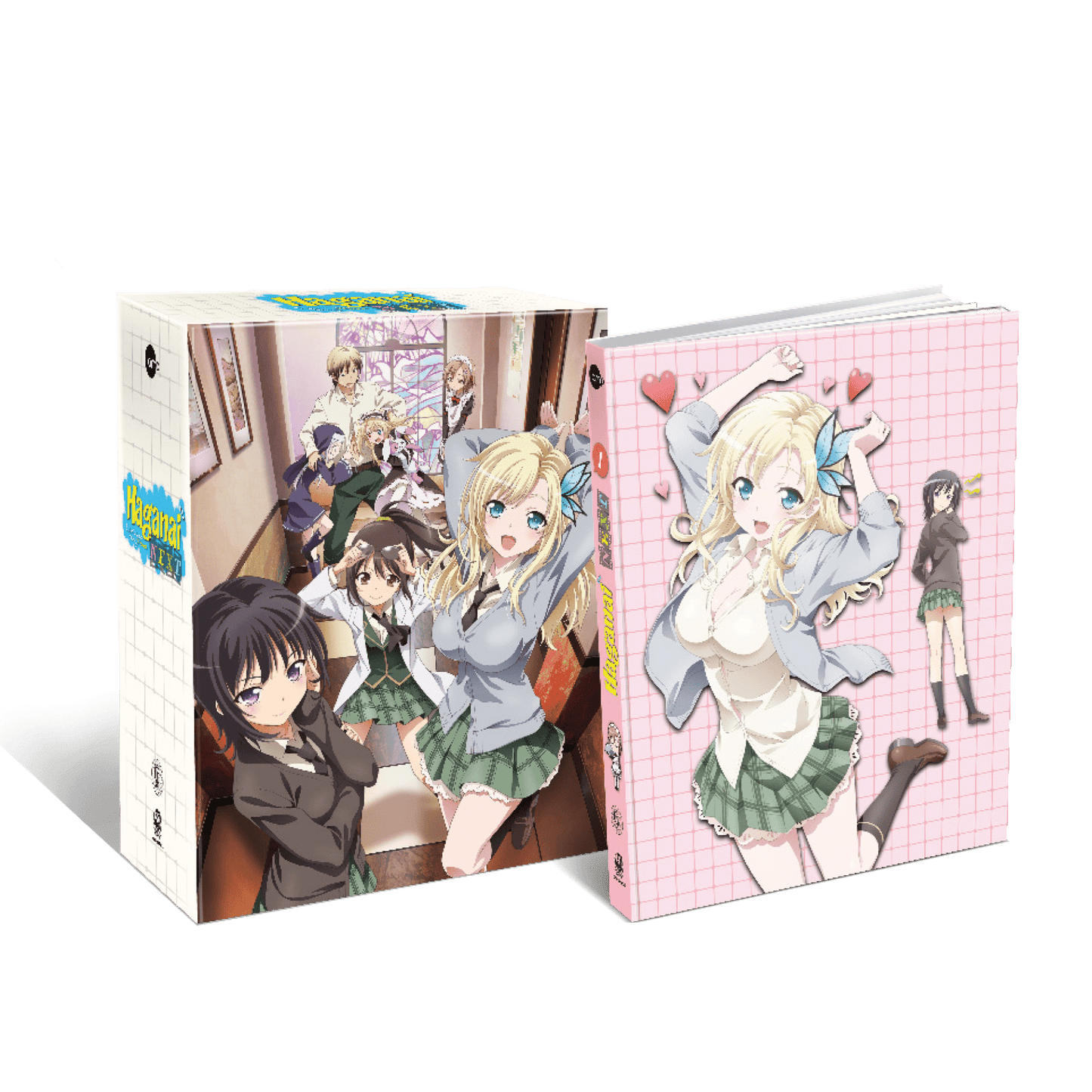 Haganai Next - Vol. 1