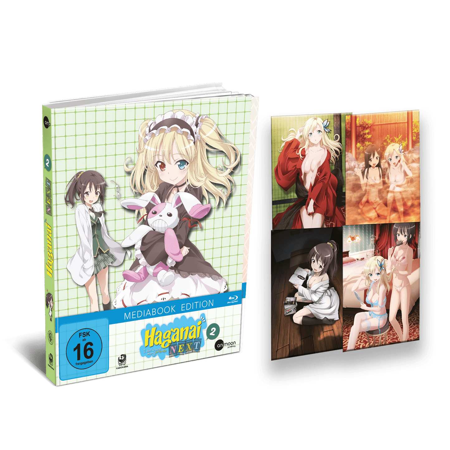 Haganai Next - Vol. 2