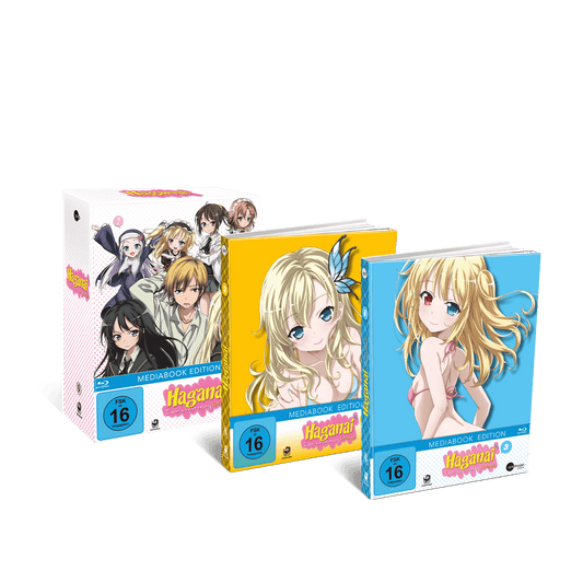 Haganai - Staffel 1 Bundle