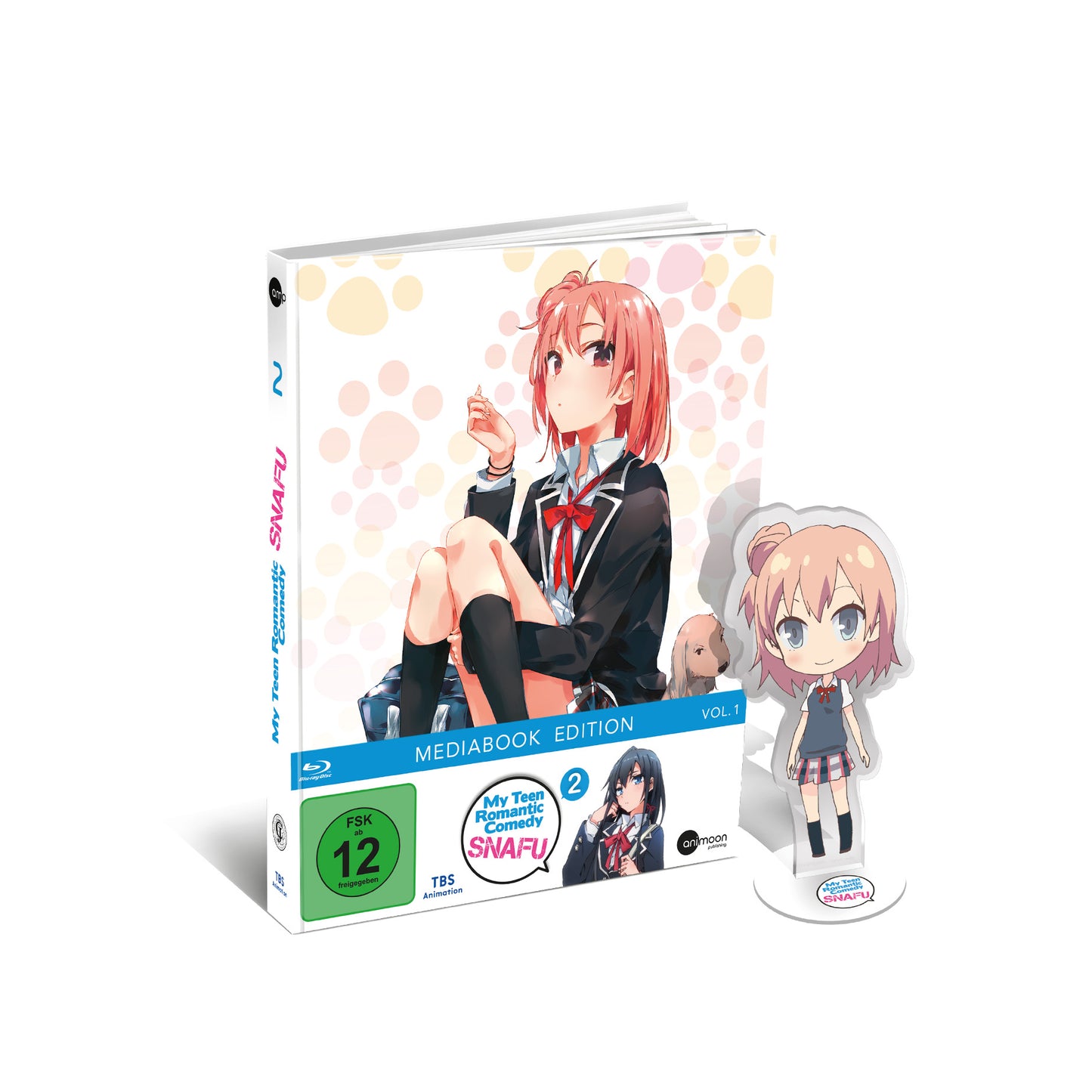 My Teen Romantic Comedy SNAFU - Vol. 2