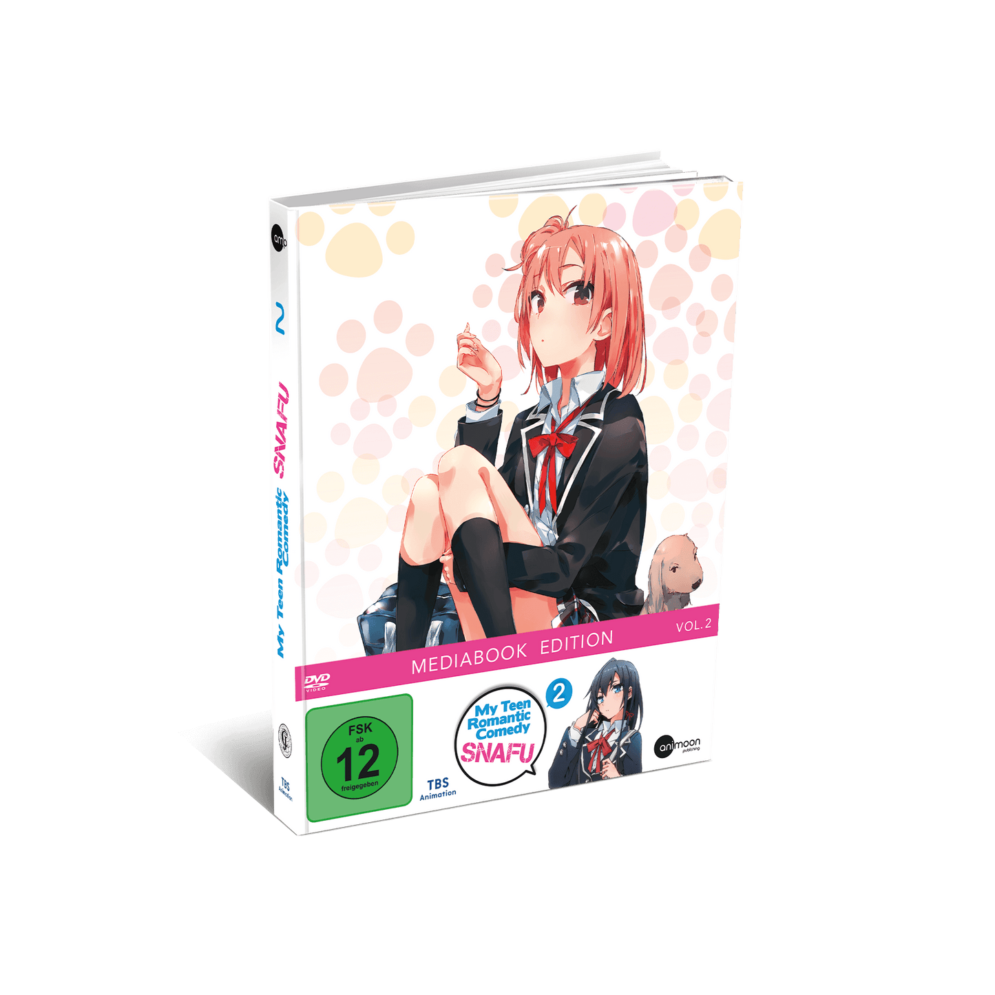 My Teen Romantic Comedy SNAFU - Vol. 2