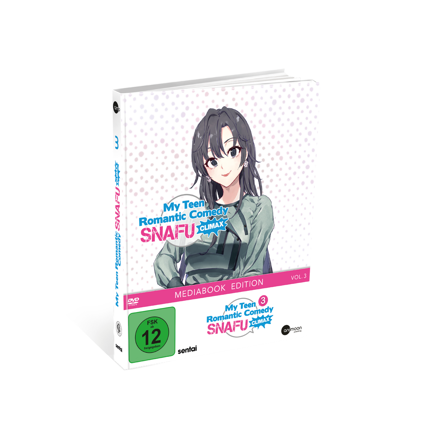 My Teen Romantic Comedy SNAFU Climax - Vol. 3