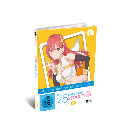 2.5 Dimensional Seduction - Vol. 4