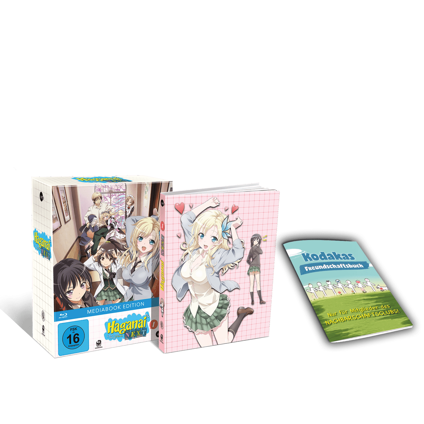 Haganai Next - Vol. 1